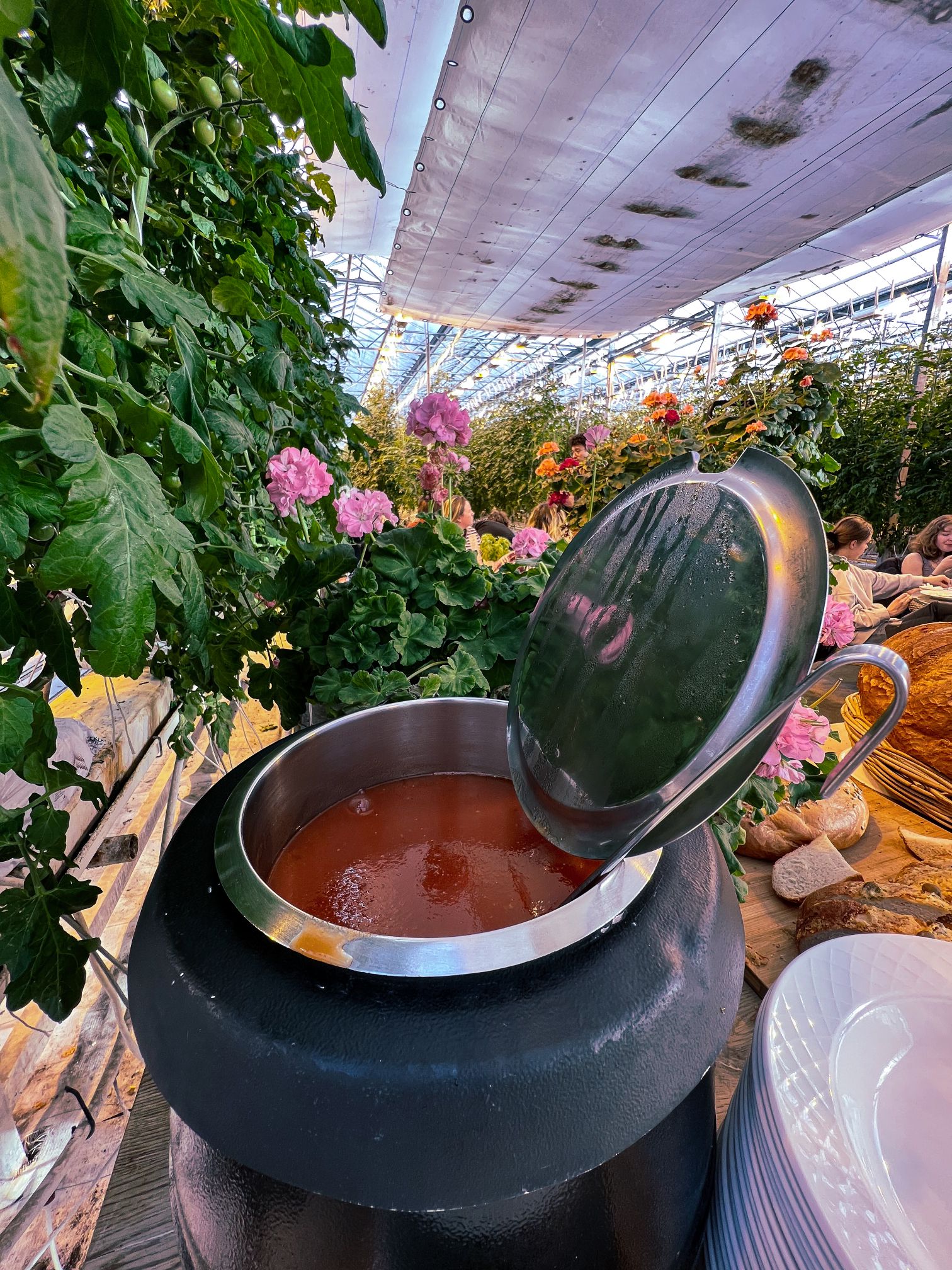 Photo 24.2.2022, 12 10 43