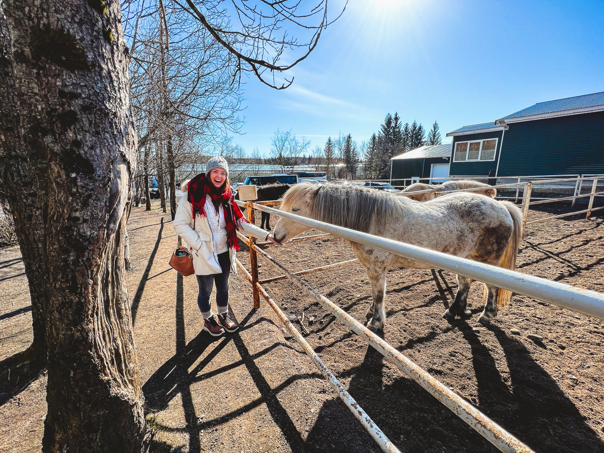 Photo 7.4.2022, 12 59 06 (1)