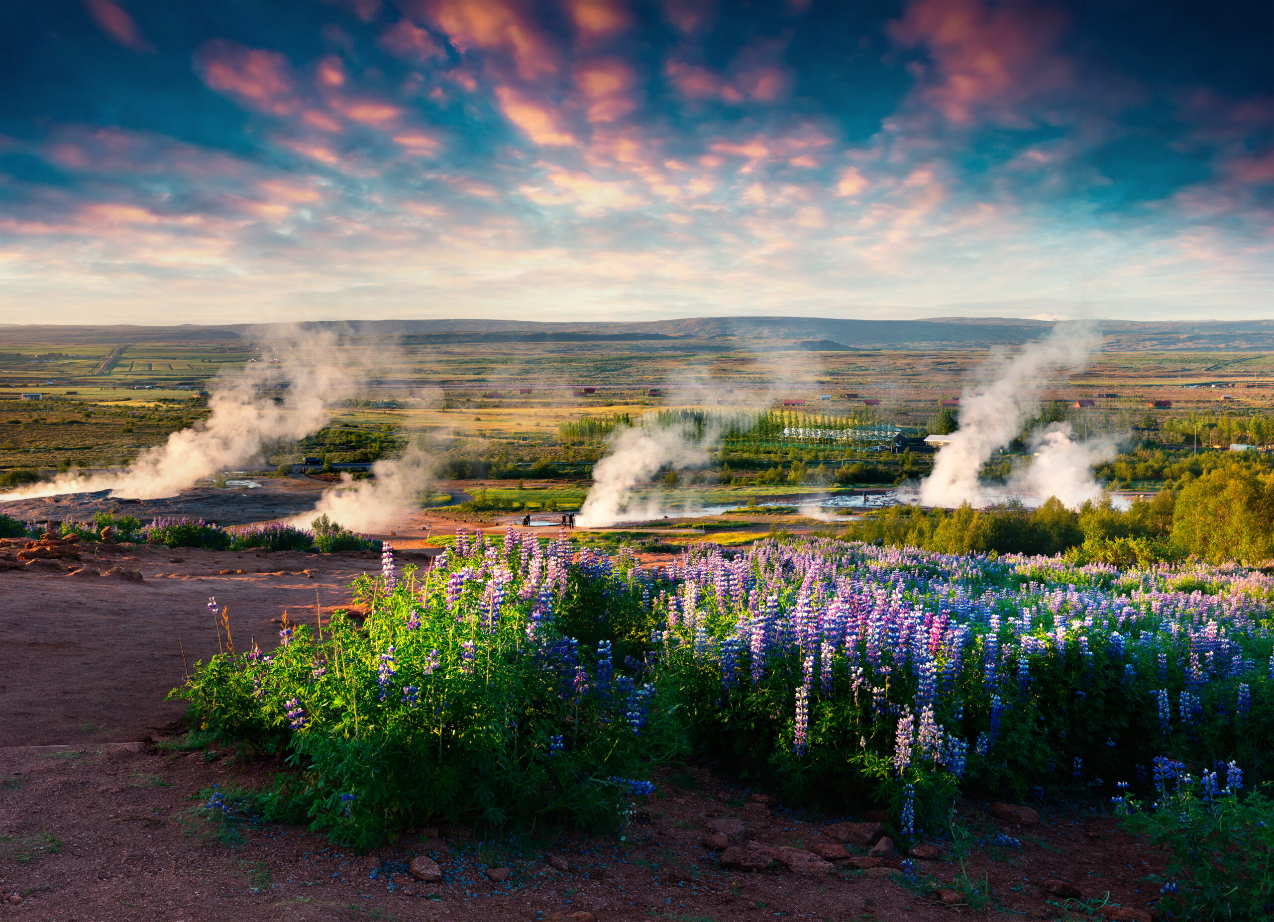 Erupting,Of,The,Great,Geysir,Lies,In,Haukadalur,Valley,On